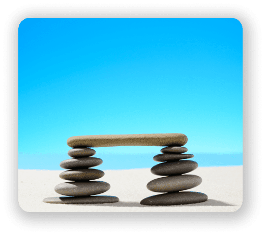 Microbiome Balance and Diversity